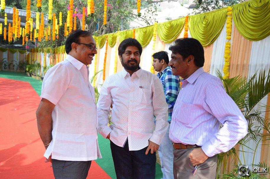 Bengal-Tiger-Movie-Opening